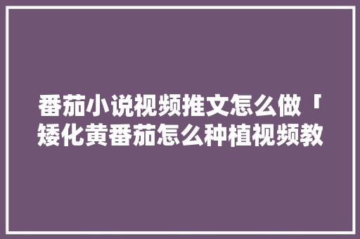 番茄小说视频推文怎么做「矮化黄番茄怎么种植视频教程」