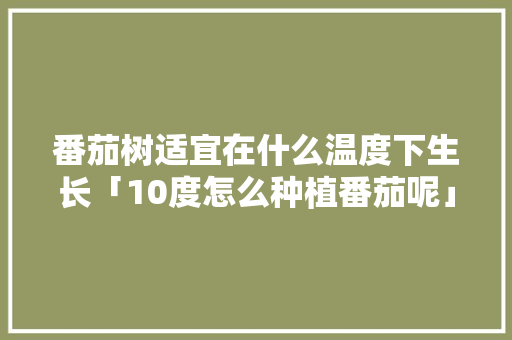 番茄树适宜在什么温度下生长「10度怎么种植番茄呢」 番茄树适宜在什么温度下生长「10度怎么种植番茄呢」 植物种类