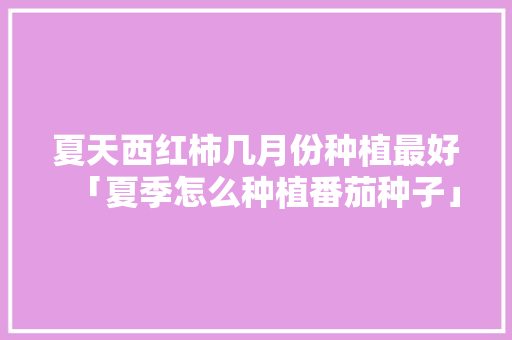夏天西红柿几月份种植最好「夏季怎么种植番茄种子」 夏天西红柿几月份种植最好「夏季怎么种植番茄种子」 花朵知识