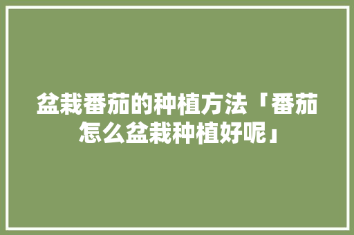 盆栽番茄的种植方法「番茄怎么盆栽种植好呢」 盆栽番茄的种植方法「番茄怎么盆栽种植好呢」 农业常识