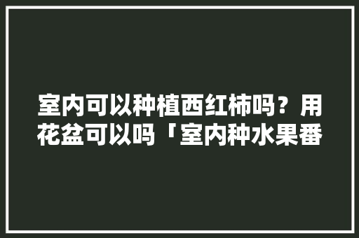 室内可以种植西红柿吗？用花盆可以吗「室内种水果番茄怎么种植视频」 室内可以种植西红柿吗？用花盆可以吗「室内种水果番茄怎么种植视频」 番茄病虫害防治