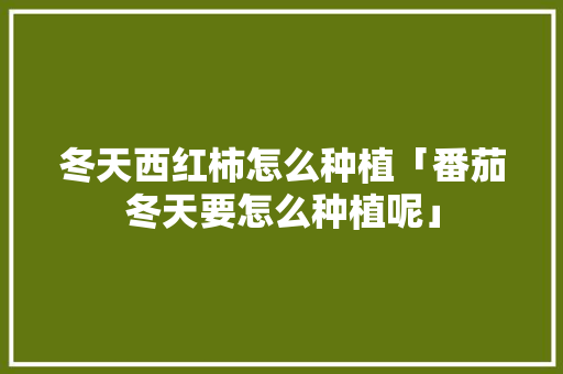 冬天西红柿怎么种植「番茄冬天要怎么种植呢」 农业常识 冬天西红柿怎么种植「番茄冬天要怎么种植呢」 冬天西红柿怎么种植「番茄冬天要怎么种植呢」 农业常识