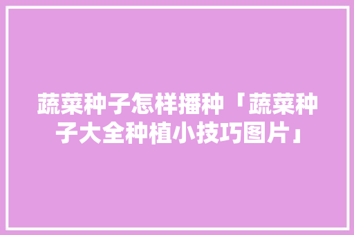 蔬菜种子怎样播种「蔬菜种子大全种植小技巧图片」