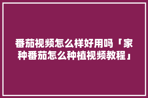 番茄视频怎么样好用吗「家种番茄怎么种植视频教程」 番茄视频怎么样好用吗「家种番茄怎么种植视频教程」 花朵知识