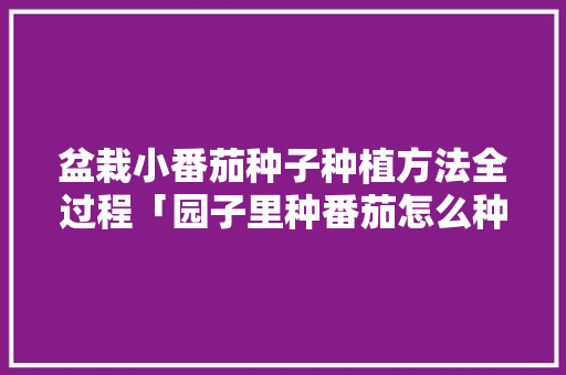 盆栽小番茄种子种植方法全过程「园子里种番茄怎么种植视频」 盆栽小番茄种子种植方法全过程「园子里种番茄怎么种植视频」 土壤施肥