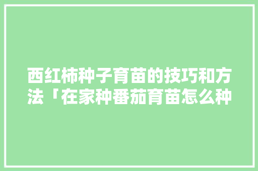 西红柿种子育苗的技巧和方法「在家种番茄育苗怎么种植视频」 西红柿种子育苗的技巧和方法「在家种番茄育苗怎么种植视频」 土壤施肥