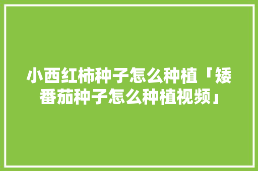 小西红柿种子怎么种植「矮番茄种子怎么种植视频」 小西红柿种子怎么种植「矮番茄种子怎么种植视频」 农业常识