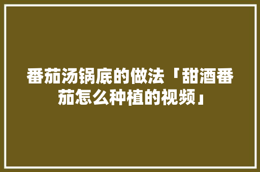 番茄汤锅底的做法「甜酒番茄怎么种植的视频」 番茄汤锅底的做法「甜酒番茄怎么种植的视频」 种植技巧