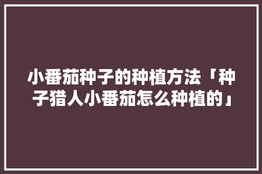 小番茄种子的种植方法「种子猎人小番茄怎么种植的」 小番茄种子的种植方法「种子猎人小番茄怎么种植的」 番茄种植技巧