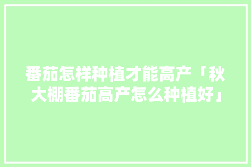 番茄怎样种植才能高产「秋大棚番茄高产怎么种植好」 番茄怎样种植才能高产「秋大棚番茄高产怎么种植好」 植物种类