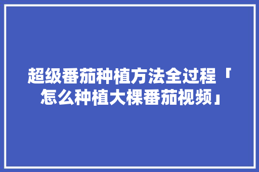 超级番茄种植方法全过程「怎么种植大棵番茄视频」 超级番茄种植方法全过程「怎么种植大棵番茄视频」 农业常识