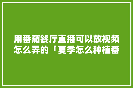 用番茄餐厅直播可以放视频怎么弄的「夏季怎么种植番茄视频教程」 用番茄餐厅直播可以放视频怎么弄的「夏季怎么种植番茄视频教程」 番茄病虫害防治