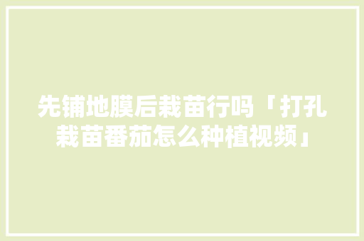 先铺地膜后栽苗行吗「打孔栽苗番茄怎么种植视频」 先铺地膜后栽苗行吗「打孔栽苗番茄怎么种植视频」 种植技巧
