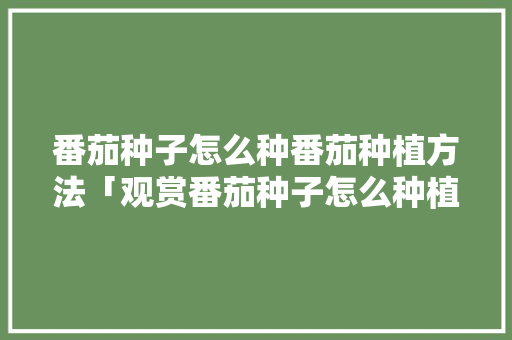 番茄种子怎么种番茄种植方法「观赏番茄种子怎么种植视频」 番茄种子怎么种番茄种植方法「观赏番茄种子怎么种植视频」 番茄病虫害防治