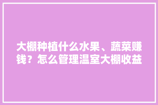 大棚种植什么水果、蔬菜赚钱?怎么管理温室大棚收益更高「大棚蔬菜种植赚钱技巧视频」 番茄种植技巧 大棚种植什么水果、蔬菜赚钱?怎么管理温室大棚收益更高「大棚蔬菜种植赚钱技巧视频」 大棚种植什么水果、蔬菜赚钱?怎么管理温室大棚收益更高「大棚蔬菜种植赚钱技巧视频」 番茄种植技巧