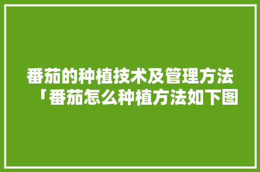 番茄的种植技术及管理方法「番茄怎么种植方法如下图片」 番茄的种植技术及管理方法「番茄怎么种植方法如下图片」 土壤施肥