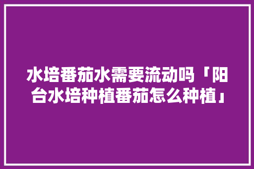 水培番茄水需要流动吗「阳台水培种植番茄怎么种植」 水培番茄水需要流动吗「阳台水培种植番茄怎么种植」 农业常识