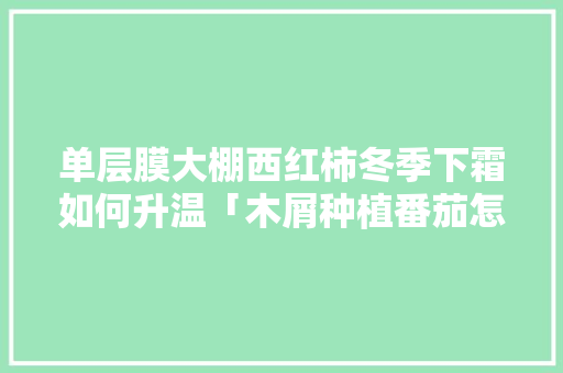 单层膜大棚西红柿冬季下霜如何升温「木屑种植番茄怎么种植好呢」 番茄病虫害防治 单层膜大棚西红柿冬季下霜如何升温「木屑种植番茄怎么种植好呢」 单层膜大棚西红柿冬季下霜如何升温「木屑种植番茄怎么种植好呢」 番茄病虫害防治