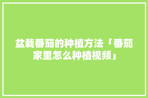 盆栽番茄的种植方法「番茄家里怎么种植视频」 植物种类 盆栽番茄的种植方法「番茄家里怎么种植视频」 盆栽番茄的种植方法「番茄家里怎么种植视频」 植物种类