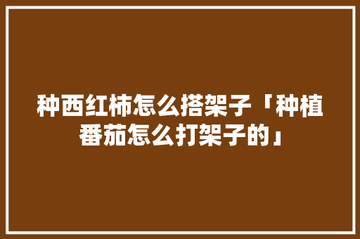 种西红柿怎么搭架子「种植番茄怎么打架子的」 种西红柿怎么搭架子「种植番茄怎么打架子的」 农业常识