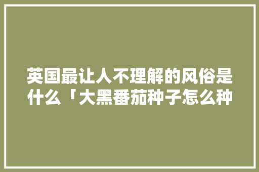 英国最让人不理解的风俗是什么「大黑番茄种子怎么种植视频」