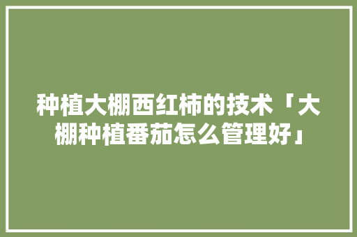 种植大棚西红柿的技术「大棚种植番茄怎么管理好」 种植大棚西红柿的技术「大棚种植番茄怎么管理好」 土壤施肥
