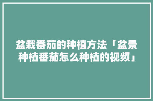 盆栽番茄的种植方法「盆景种植番茄怎么种植的视频」 盆栽番茄的种植方法「盆景种植番茄怎么种植的视频」 番茄病虫害防治