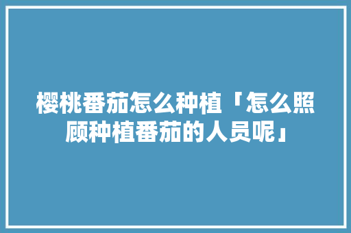 樱桃番茄怎么种植「怎么照顾种植番茄的人员呢」 樱桃番茄怎么种植「怎么照顾种植番茄的人员呢」 土壤施肥