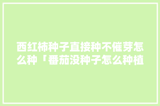西红柿种子直接种不催芽怎么种「番茄没种子怎么种植视频」 西红柿种子直接种不催芽怎么种「番茄没种子怎么种植视频」 花朵知识