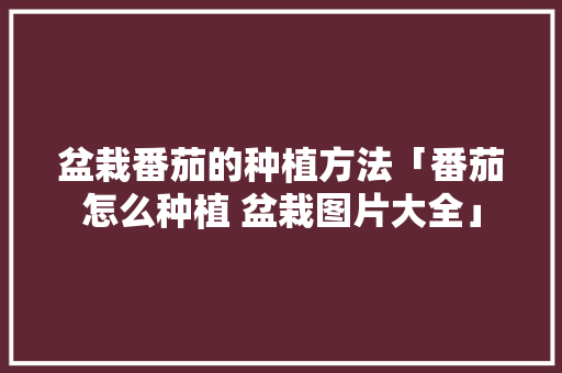 盆栽番茄的种植方法「番茄怎么种植 盆栽图片大全」 盆栽番茄的种植方法「番茄怎么种植 盆栽图片大全」 花朵知识