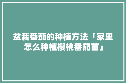 盆栽番茄的种植方法「家里怎么种植樱桃番茄苗」 盆栽番茄的种植方法「家里怎么种植樱桃番茄苗」 植物种类