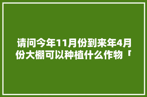 请问今年11月份到来年4月份大棚可以种植什么作物「水培菜花番茄怎么种植视频」 请问今年11月份到来年4月份大棚可以种植什么作物「水培菜花番茄怎么种植视频」 植物种类