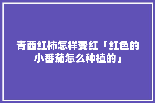 青西红柿怎样变红「红色的小番茄怎么种植的」 青西红柿怎样变红「红色的小番茄怎么种植的」 番茄种植技巧