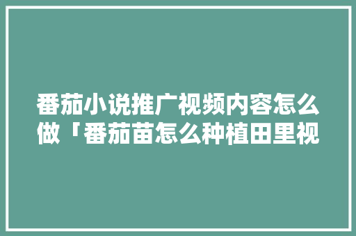 番茄小说推广视频内容怎么做「番茄苗怎么种植田里视频教程」 番茄小说推广视频内容怎么做「番茄苗怎么种植田里视频教程」 农业常识