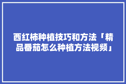 西红柿种植技巧和方法「精品番茄怎么种植方法视频」 西红柿种植技巧和方法「精品番茄怎么种植方法视频」 花朵知识