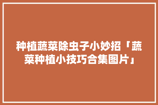 种植蔬菜除虫子小妙招「蔬菜种植小技巧合集图片」 种植蔬菜除虫子小妙招「蔬菜种植小技巧合集图片」 花朵知识