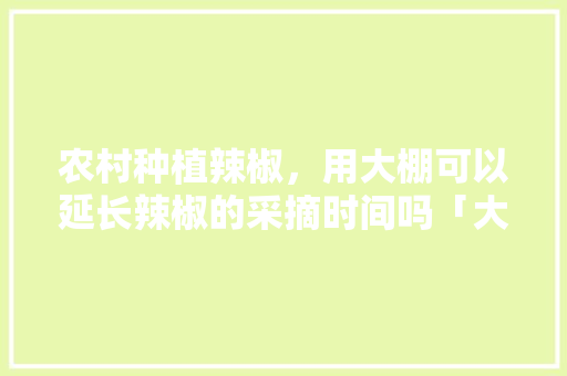 农村种植辣椒，用大棚可以延长辣椒的采摘时间吗「大棚蔬菜种植摘辣椒技巧视频」 农村种植辣椒，用大棚可以延长辣椒的采摘时间吗「大棚蔬菜种植摘辣椒技巧视频」 土壤施肥