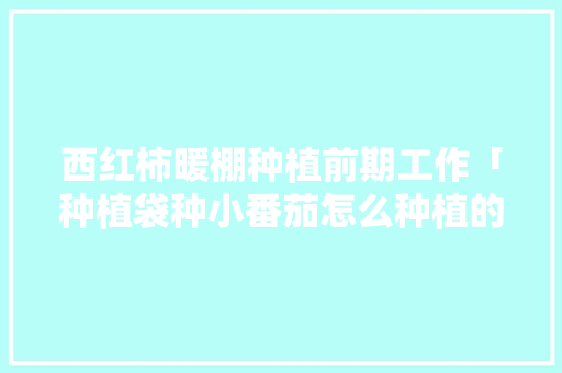 西红柿暖棚种植前期工作「种植袋种小番茄怎么种植的」 西红柿暖棚种植前期工作「种植袋种小番茄怎么种植的」 土壤施肥