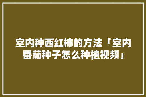 室内种西红柿的方法「室内番茄种子怎么种植视频」 室内种西红柿的方法「室内番茄种子怎么种植视频」 植物种类