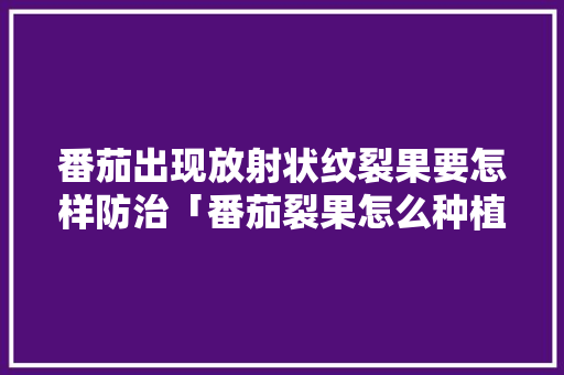 番茄出现放射状纹裂果要怎样防治「番茄裂果怎么种植方法视频」 番茄出现放射状纹裂果要怎样防治「番茄裂果怎么种植方法视频」 番茄病虫害防治