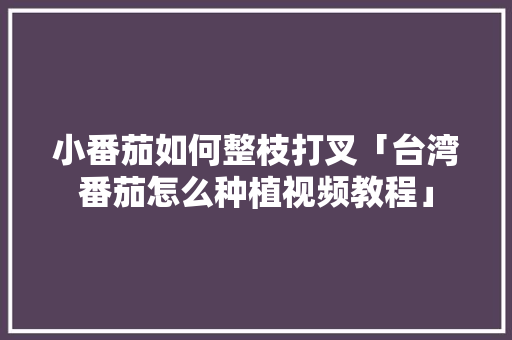 小番茄如何整枝打叉「台湾番茄怎么种植视频教程」 小番茄如何整枝打叉「台湾番茄怎么种植视频教程」 番茄病虫害防治