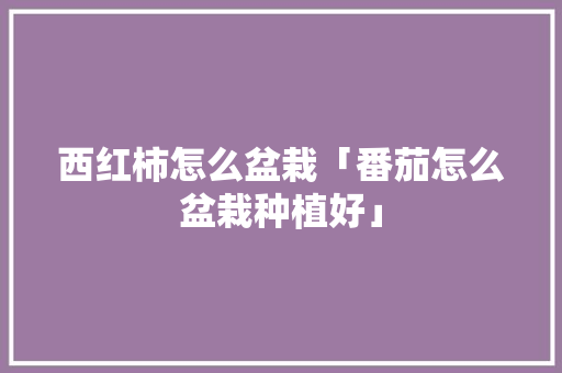 西红柿怎么盆栽「番茄怎么盆栽种植好」 西红柿怎么盆栽「番茄怎么盆栽种植好」 植物种类