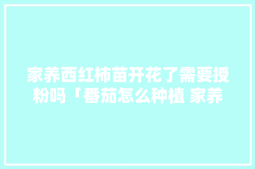 家养西红柿苗开花了需要授粉吗「番茄怎么种植 家养的好」 家养西红柿苗开花了需要授粉吗「番茄怎么种植 家养的好」 土壤施肥