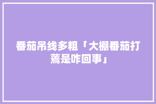 番茄吊线多粗「大棚番茄打蔫是咋回事」 番茄吊线多粗「大棚番茄打蔫是咋回事」 花朵知识