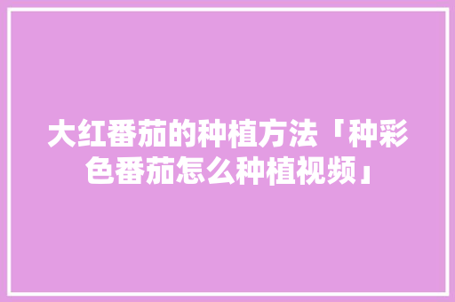 大红番茄的种植方法「种彩色番茄怎么种植视频」 大红番茄的种植方法「种彩色番茄怎么种植视频」 番茄病虫害防治