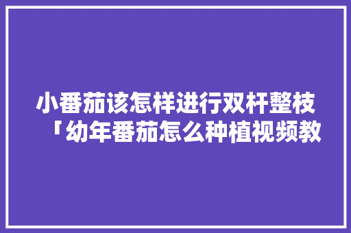 小番茄该怎样进行双杆整枝「幼年番茄怎么种植视频教程」 小番茄该怎样进行双杆整枝「幼年番茄怎么种植视频教程」 植物种类