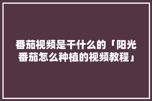 番茄视频是干什么的「阳光番茄怎么种植的视频教程」 番茄视频是干什么的「阳光番茄怎么种植的视频教程」 种植技巧