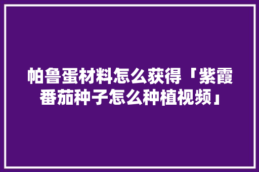 帕鲁蛋材料怎么获得「紫霞番茄种子怎么种植视频」 帕鲁蛋材料怎么获得「紫霞番茄种子怎么种植视频」 花朵知识