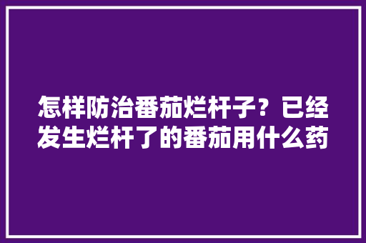 怎样防治番茄烂杆子？已经发生烂杆了的番茄用什么药物涂抹比较好「番茄杆怎么种植的图片大全」 怎样防治番茄烂杆子？已经发生烂杆了的番茄用什么药物涂抹比较好「番茄杆怎么种植的图片大全」 番茄种植技巧