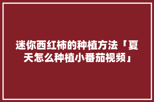 迷你西红柿的种植方法「夏天怎么种植小番茄视频」 迷你西红柿的种植方法「夏天怎么种植小番茄视频」 农业常识